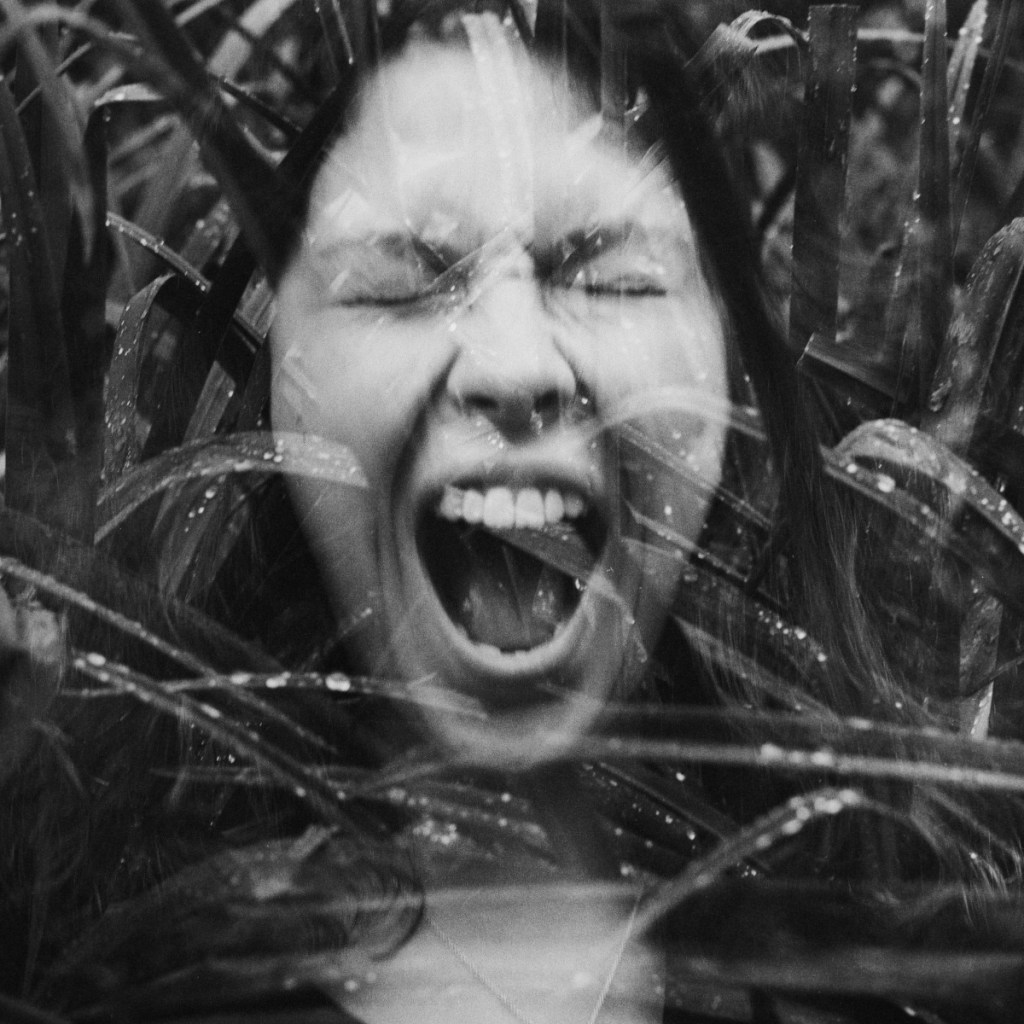 pledge | analog&nbsp;photography