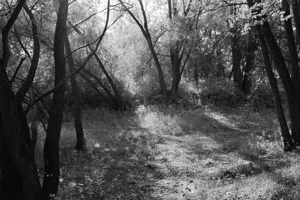 Ear training exercise with&nbsp;nature