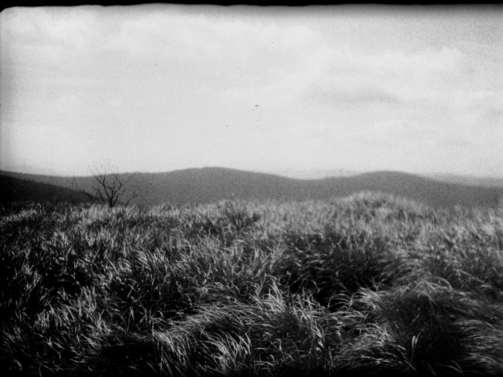 Bieszczady – Poland (2022) | analog photography | PART&nbsp;3/3