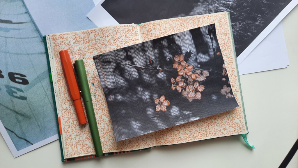 nature portrait & ink on paper | analog&nbsp;photography