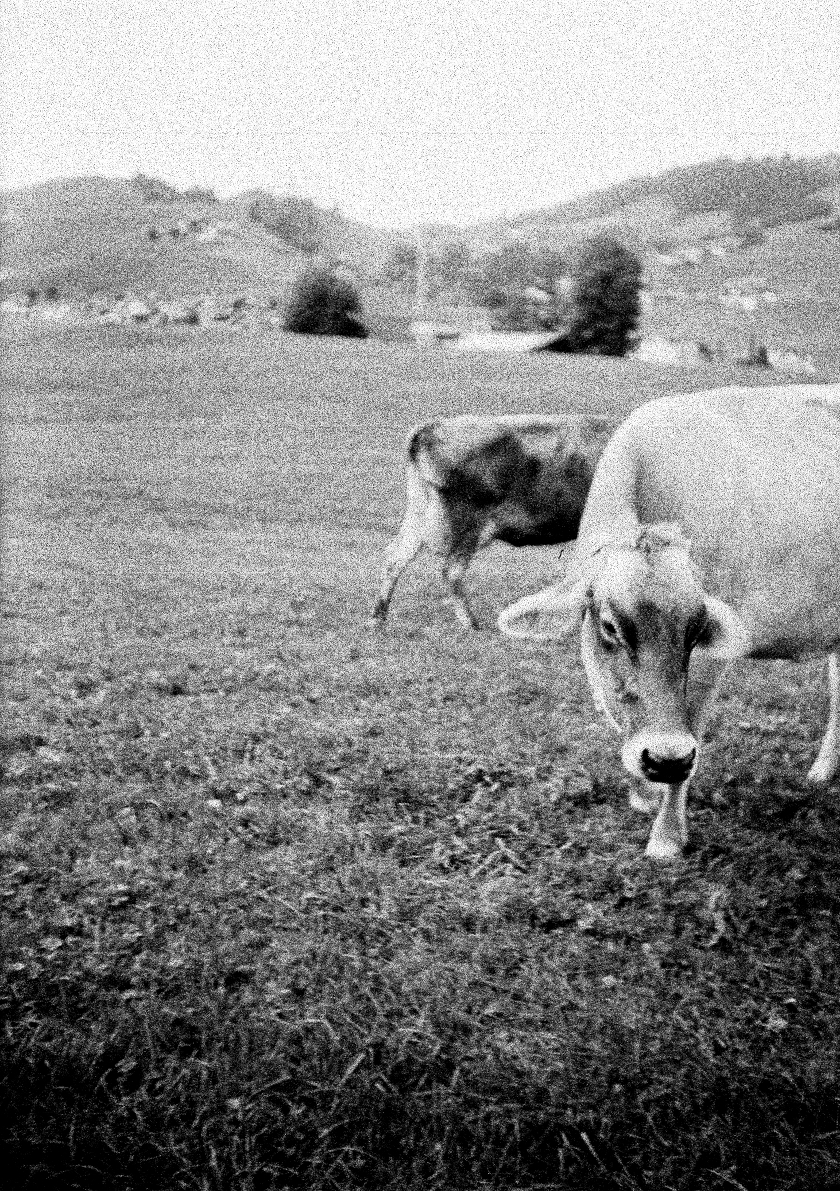 last days of summer | analog&nbsp;photography