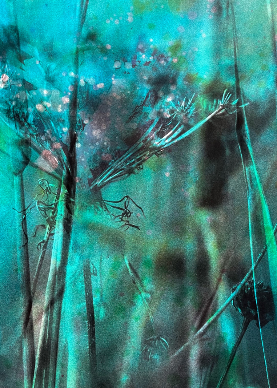 how to buy my&nbsp;art?