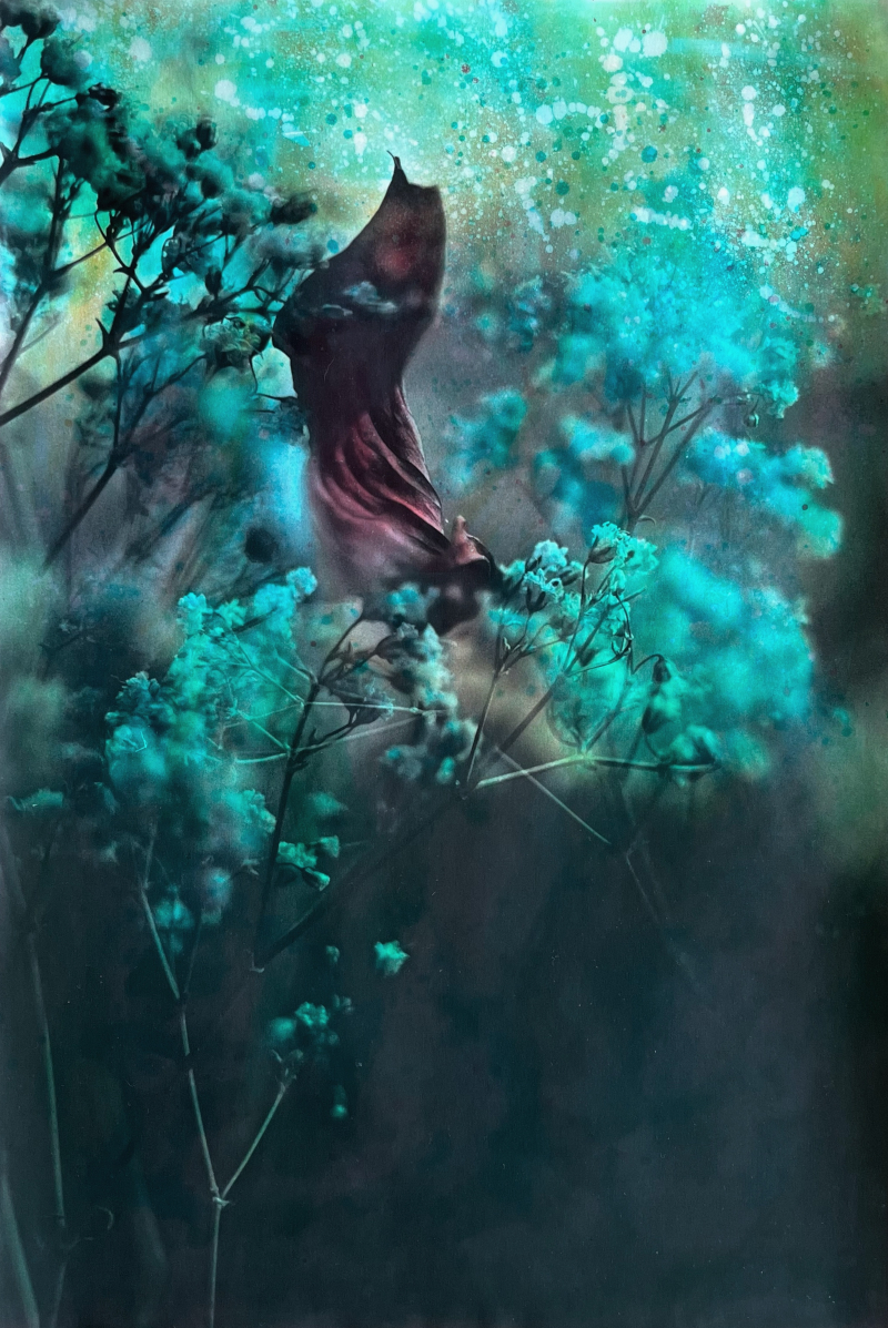 imaginary worlds gallery #4 | analog&nbsp;photography