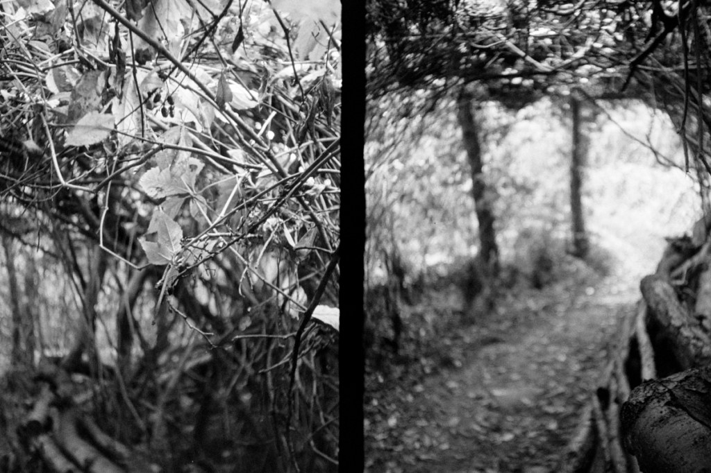 inspiration overview | analog&nbsp;photography