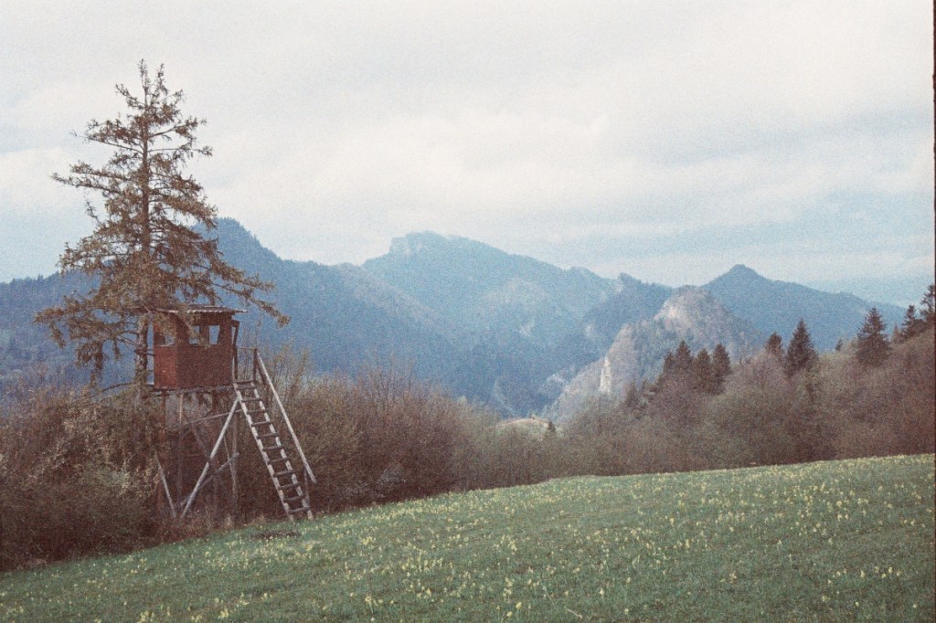 Pieniny – Poland | analog&nbsp;photography