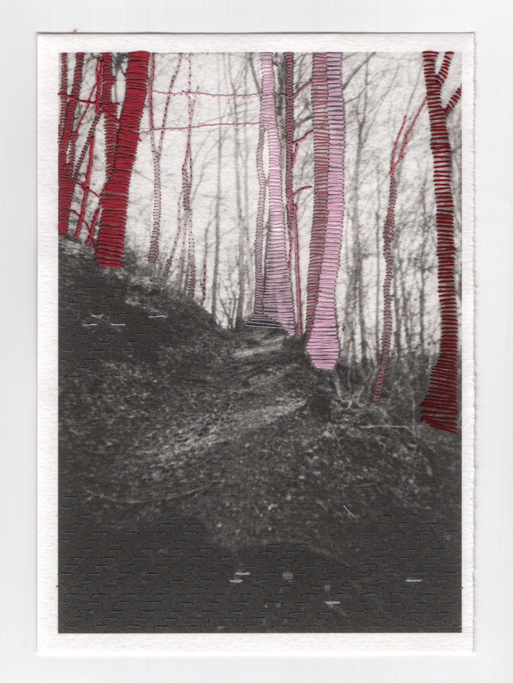 patterns in stillness | embroidery on&nbsp;photograph