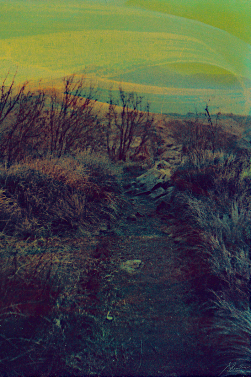 about making a difference | for&nbsp;nature