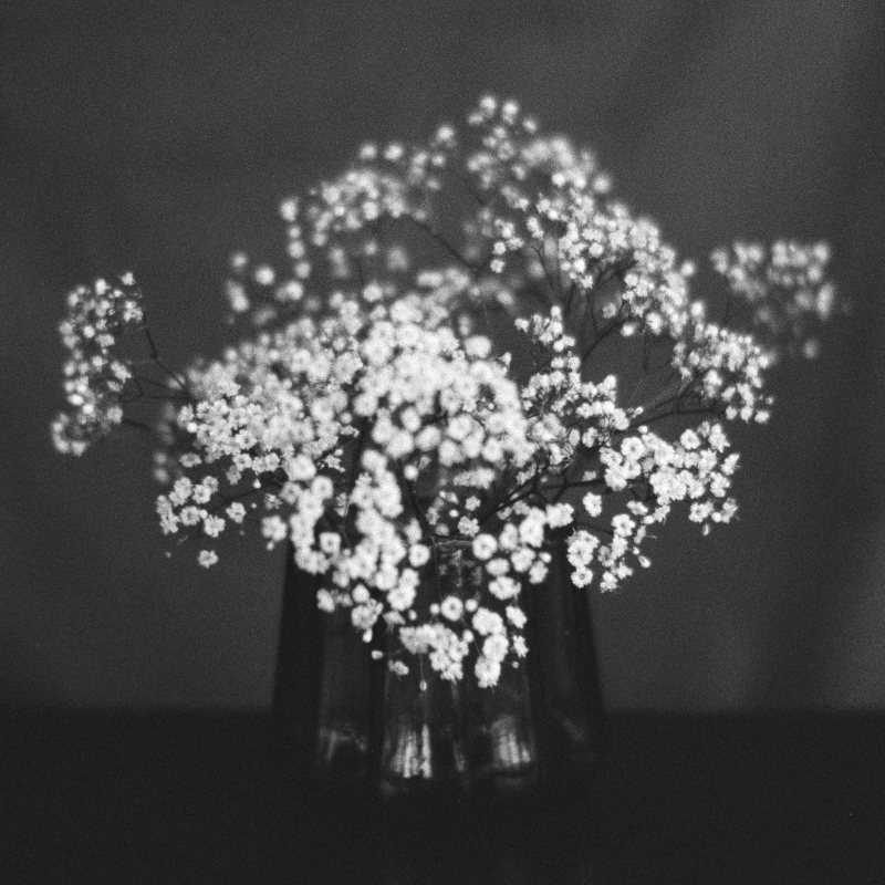 Lomography Petzval tests