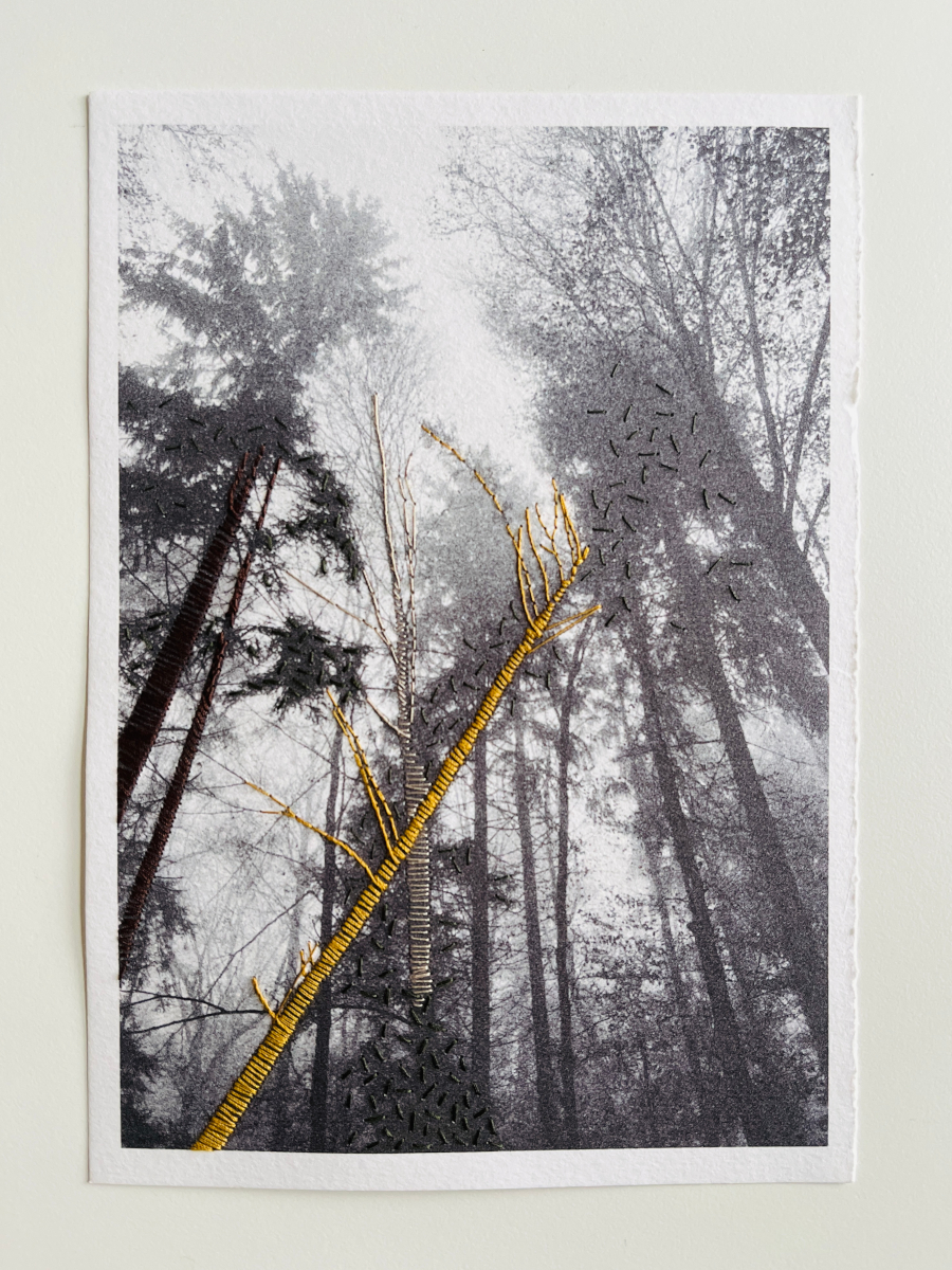 patterns in stillness |&nbsp;embroidery