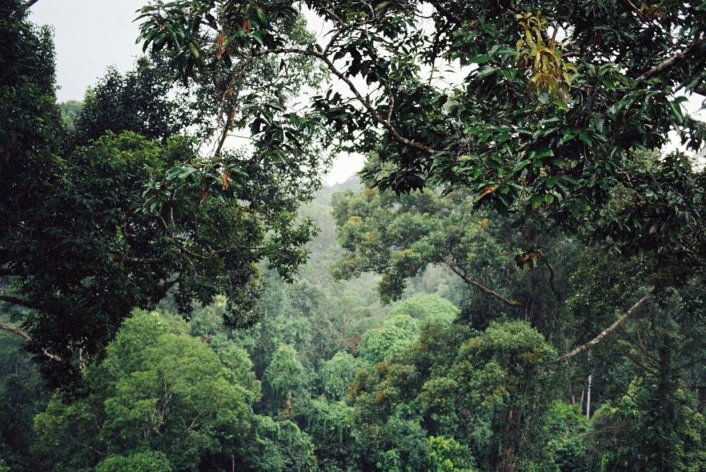 Malaysia | on&nbsp;film